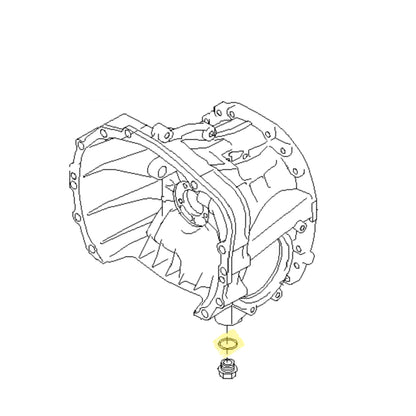 STI transmission service kit